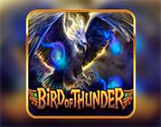 Bird of Thunder